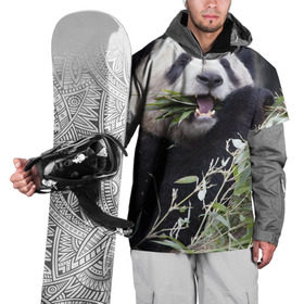 Накидка на куртку 3D с принтом Панда кушает в Белгороде, 100% полиэстер |  | бамбук | животное | медведь