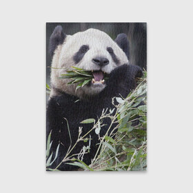 Обложка для паспорта матовая кожа с принтом Панда кушает в Белгороде, натуральная матовая кожа | размер 19,3 х 13,7 см; прозрачные пластиковые крепления | бамбук | животное | медведь