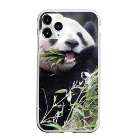 Чехол для iPhone 11 Pro Max матовый с принтом Панда кушает в Белгороде, Силикон |  | бамбук | животное | медведь