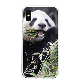 Чехол для iPhone XS Max матовый с принтом Панда кушает в Белгороде, Силикон | Область печати: задняя сторона чехла, без боковых панелей | бамбук | животное | медведь