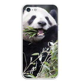 Чехол для iPhone 5/5S матовый с принтом Панда кушает в Белгороде, Силикон | Область печати: задняя сторона чехла, без боковых панелей | бамбук | животное | медведь