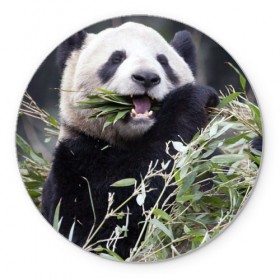 Коврик круглый с принтом Панда кушает в Белгороде, резина и полиэстер | круглая форма, изображение наносится на всю лицевую часть | бамбук | животное | медведь