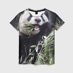 Женская футболка 3D с принтом Панда кушает в Белгороде, 100% полиэфир ( синтетическое хлопкоподобное полотно) | прямой крой, круглый вырез горловины, длина до линии бедер | бамбук | животное | медведь
