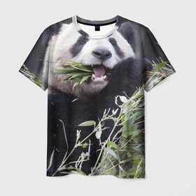 Мужская футболка 3D с принтом Панда кушает в Белгороде, 100% полиэфир | прямой крой, круглый вырез горловины, длина до линии бедер | бамбук | животное | медведь