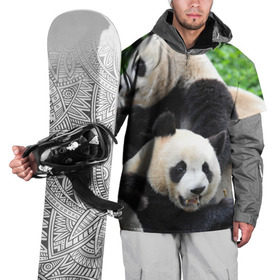 Накидка на куртку 3D с принтом Панды в Белгороде, 100% полиэстер |  | бамбук | животное | медведь