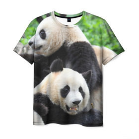 Мужская футболка 3D с принтом Панды в Белгороде, 100% полиэфир | прямой крой, круглый вырез горловины, длина до линии бедер | бамбук | животное | медведь