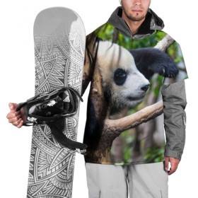 Накидка на куртку 3D с принтом Бамбуковый медведь в Белгороде, 100% полиэстер |  | Тематика изображения на принте: бамбук | животное | медведь