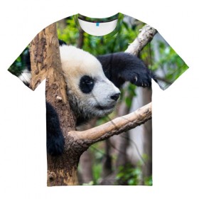 Мужская футболка 3D с принтом Бамбуковый медведь в Белгороде, 100% полиэфир | прямой крой, круглый вырез горловины, длина до линии бедер | Тематика изображения на принте: бамбук | животное | медведь