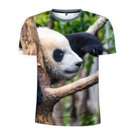 Мужская футболка 3D спортивная с принтом Бамбуковый медведь в Белгороде, 100% полиэстер с улучшенными характеристиками | приталенный силуэт, круглая горловина, широкие плечи, сужается к линии бедра | бамбук | животное | медведь