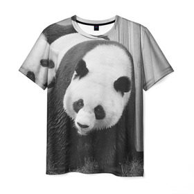 Мужская футболка 3D с принтом Панды чб фото в Белгороде, 100% полиэфир | прямой крой, круглый вырез горловины, длина до линии бедер | Тематика изображения на принте: бамбук | животное | медведь