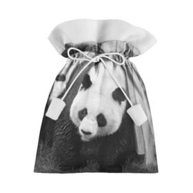 Подарочный 3D мешок с принтом Панды чб фото в Белгороде, 100% полиэстер | Размер: 29*39 см | бамбук | животное | медведь