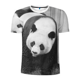 Мужская футболка 3D спортивная с принтом Панды чб фото в Белгороде, 100% полиэстер с улучшенными характеристиками | приталенный силуэт, круглая горловина, широкие плечи, сужается к линии бедра | бамбук | животное | медведь