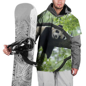 Накидка на куртку 3D с принтом Панда спит на ветке в Белгороде, 100% полиэстер |  | Тематика изображения на принте: бамбук | животное | медведь