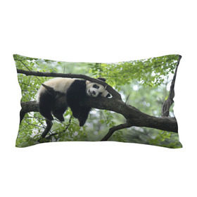 Подушка 3D антистресс с принтом Панда спит на ветке в Белгороде, наволочка — 100% полиэстер, наполнитель — вспененный полистирол | состоит из подушки и наволочки на молнии | бамбук | животное | медведь