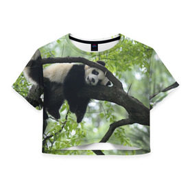 Женская футболка 3D укороченная с принтом Панда спит на ветке в Белгороде, 100% полиэстер | круглая горловина, длина футболки до линии талии, рукава с отворотами | бамбук | животное | медведь