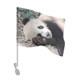Флаг для автомобиля с принтом Лапка панда в Белгороде, 100% полиэстер | Размер: 30*21 см | бамбук | животное | медведь