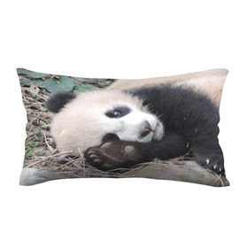 Подушка 3D антистресс с принтом Лапка панда в Белгороде, наволочка — 100% полиэстер, наполнитель — вспененный полистирол | состоит из подушки и наволочки на молнии | бамбук | животное | медведь