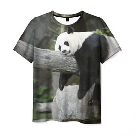 Мужская футболка 3D с принтом Большая уставшая панда в Белгороде, 100% полиэфир | прямой крой, круглый вырез горловины, длина до линии бедер | Тематика изображения на принте: бамбук | животное | медведь