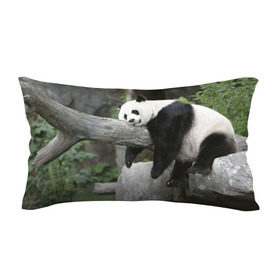 Подушка 3D антистресс с принтом Большая уставшая панда в Белгороде, наволочка — 100% полиэстер, наполнитель — вспененный полистирол | состоит из подушки и наволочки на молнии | бамбук | животное | медведь