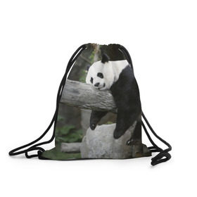 Рюкзак-мешок 3D с принтом Большая уставшая панда в Белгороде, 100% полиэстер | плотность ткани — 200 г/м2, размер — 35 х 45 см; лямки — толстые шнурки, застежка на шнуровке, без карманов и подкладки | бамбук | животное | медведь