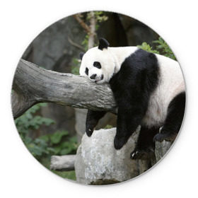 Коврик круглый с принтом Большая уставшая панда в Белгороде, резина и полиэстер | круглая форма, изображение наносится на всю лицевую часть | бамбук | животное | медведь