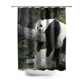 Штора 3D для ванной с принтом Большая уставшая панда в Белгороде, 100% полиэстер | плотность материала — 100 г/м2. Стандартный размер — 146 см х 180 см. По верхнему краю — пластиковые люверсы для креплений. В комплекте 10 пластиковых колец | бамбук | животное | медведь