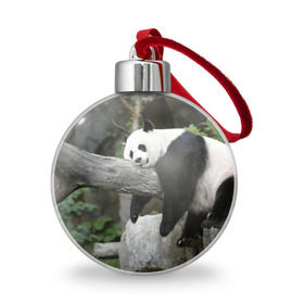 Ёлочный шар с принтом Большая уставшая панда в Белгороде, Пластик | Диаметр: 77 мм | бамбук | животное | медведь
