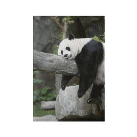 Обложка для паспорта матовая кожа с принтом Большая уставшая панда в Белгороде, натуральная матовая кожа | размер 19,3 х 13,7 см; прозрачные пластиковые крепления | бамбук | животное | медведь