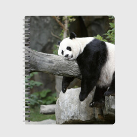 Тетрадь с принтом Большая уставшая панда в Белгороде, 100% бумага | 48 листов, плотность листов — 60 г/м2, плотность картонной обложки — 250 г/м2. Листы скреплены сбоку удобной пружинной спиралью. Уголки страниц и обложки скругленные. Цвет линий — светло-серый
 | бамбук | животное | медведь