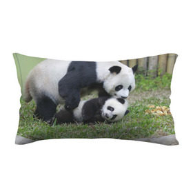 Подушка 3D антистресс с принтом Мамочка и сыночек панды в Белгороде, наволочка — 100% полиэстер, наполнитель — вспененный полистирол | состоит из подушки и наволочки на молнии | бамбук | животное | медведь
