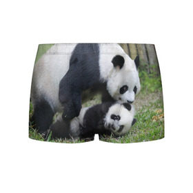 Мужские трусы 3D с принтом Мамочка и сыночек панды в Белгороде, 50% хлопок, 50% полиэстер | классическая посадка, на поясе мягкая тканевая резинка | Тематика изображения на принте: бамбук | животное | медведь