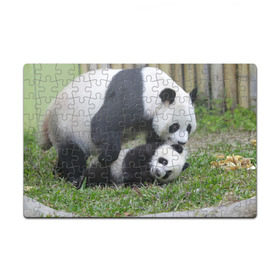 Пазл магнитный 126 элементов с принтом Мамочка и сыночек панды в Белгороде, полимерный материал с магнитным слоем | 126 деталей, размер изделия —  180*270 мм | бамбук | животное | медведь