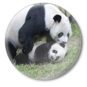 Значок с принтом Мамочка и сыночек панды в Белгороде,  металл | круглая форма, металлическая застежка в виде булавки | Тематика изображения на принте: бамбук | животное | медведь
