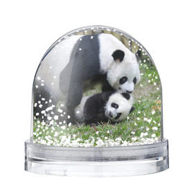 Снежный шар с принтом Мамочка и сыночек панды в Белгороде, Пластик | Изображение внутри шара печатается на глянцевой фотобумаге с двух сторон | бамбук | животное | медведь