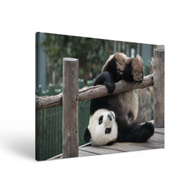 Холст прямоугольный с принтом Паркур панда в Белгороде, 100% ПВХ |  | Тематика изображения на принте: бамбук | животное | медведь