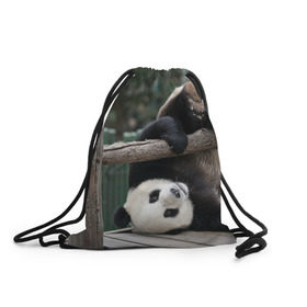 Рюкзак-мешок 3D с принтом Паркур панда в Белгороде, 100% полиэстер | плотность ткани — 200 г/м2, размер — 35 х 45 см; лямки — толстые шнурки, застежка на шнуровке, без карманов и подкладки | Тематика изображения на принте: бамбук | животное | медведь