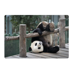 Магнитный плакат 3Х2 с принтом Паркур панда в Белгороде, Полимерный материал с магнитным слоем | 6 деталей размером 9*9 см | Тематика изображения на принте: бамбук | животное | медведь