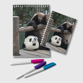 Блокнот с принтом Паркур панда в Белгороде, 100% бумага | 48 листов, плотность листов — 60 г/м2, плотность картонной обложки — 250 г/м2. Листы скреплены удобной пружинной спиралью. Цвет линий — светло-серый
 | бамбук | животное | медведь