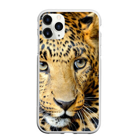 Чехол для iPhone 11 Pro матовый с принтом Леопард в Белгороде, Силикон |  | властелин | глаз | грация | животные | зверь | кот | кошачий | кошки | крупный | леопард | лес | млекопитающее | природа | пятна | рыжий | усатый | усы | фауна | флора | хищник | хозяин | царь джунгли