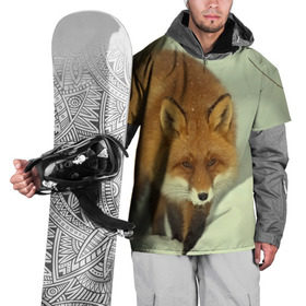 Накидка на куртку 3D с принтом Лиса в Белгороде, 100% полиэстер |  | Тематика изображения на принте: дикий | зима | пейзаж | хищник