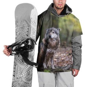 Накидка на куртку 3D с принтом Серый волк в Белгороде, 100% полиэстер |  | Тематика изображения на принте: бирюк | волк | волчара | волчица | волчок | глаза | животное | животные | зверь | зеленые | койот | лес | млекопитающее | природа | санитар леса | серый | уши | фауна | хищник | черный | шакал