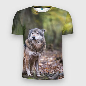 Мужская футболка 3D спортивная с принтом Серый волк в Белгороде, 100% полиэстер с улучшенными характеристиками | приталенный силуэт, круглая горловина, широкие плечи, сужается к линии бедра | бирюк | волк | волчара | волчица | волчок | глаза | животное | животные | зверь | зеленые | койот | лес | млекопитающее | природа | санитар леса | серый | уши | фауна | хищник | черный | шакал