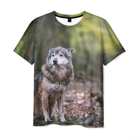 Мужская футболка 3D с принтом Серый волк в Белгороде, 100% полиэфир | прямой крой, круглый вырез горловины, длина до линии бедер | бирюк | волк | волчара | волчица | волчок | глаза | животное | животные | зверь | зеленые | койот | лес | млекопитающее | природа | санитар леса | серый | уши | фауна | хищник | черный | шакал