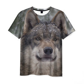 Мужская футболка 3D с принтом Серый волк в Белгороде, 100% полиэфир | прямой крой, круглый вырез горловины, длина до линии бедер | бирюк | волк | волчара | волчица | волчок | глаза | животное | животные | зверь | зеленые | койот | лес | млекопитающее | природа | санитар леса | серый | уши | фауна | хищник | черный | шакал