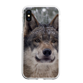 Чехол для iPhone XS Max матовый с принтом Серый волк в Белгороде, Силикон | Область печати: задняя сторона чехла, без боковых панелей | бирюк | волк | волчара | волчица | волчок | глаза | животное | животные | зверь | зеленые | койот | лес | млекопитающее | природа | санитар леса | серый | уши | фауна | хищник | черный | шакал