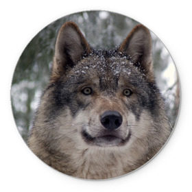 Коврик круглый с принтом Серый волк в Белгороде, резина и полиэстер | круглая форма, изображение наносится на всю лицевую часть | бирюк | волк | волчара | волчица | волчок | глаза | животное | животные | зверь | зеленые | койот | лес | млекопитающее | природа | санитар леса | серый | уши | фауна | хищник | черный | шакал