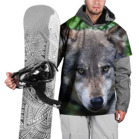 Накидка на куртку 3D с принтом Хищник в Белгороде, 100% полиэстер |  | Тематика изображения на принте: аука | бирюк | волк | волчара | волчица | волчок | глаза | животное | животные | зверь | зеленые | койот | лес | млекопитающее | природа | санитар леса | серый | уши | фауна | хищник | черный | шакал