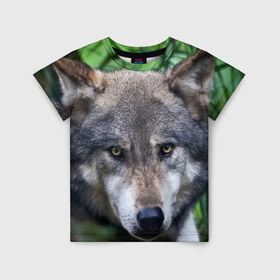 Детская футболка 3D с принтом Хищник в Белгороде, 100% гипоаллергенный полиэфир | прямой крой, круглый вырез горловины, длина до линии бедер, чуть спущенное плечо, ткань немного тянется | аука | бирюк | волк | волчара | волчица | волчок | глаза | животное | животные | зверь | зеленые | койот | лес | млекопитающее | природа | санитар леса | серый | уши | фауна | хищник | черный | шакал