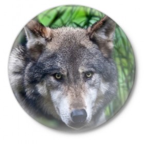 Значок с принтом Хищник в Белгороде,  металл | круглая форма, металлическая застежка в виде булавки | аука | бирюк | волк | волчара | волчица | волчок | глаза | животное | животные | зверь | зеленые | койот | лес | млекопитающее | природа | санитар леса | серый | уши | фауна | хищник | черный | шакал