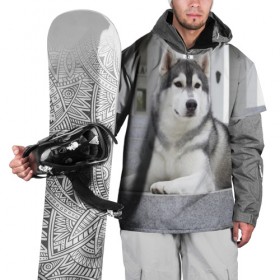 Накидка на куртку 3D с принтом Волчья парода в Белгороде, 100% полиэстер |  | аука | бирюк | волк | волчара | волчица | волчок | город | животное | животные | зверь | койот | лес | млекопитающее | парода | санитар леса | серый | собака | уши | фауна | хищник | черный | шакал